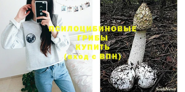 гашик Карталы