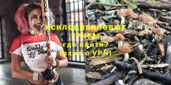 дурь Абаза