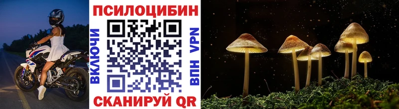 где найти наркотики Туапсе Галлюциногенные грибы Psilocybine cubensis